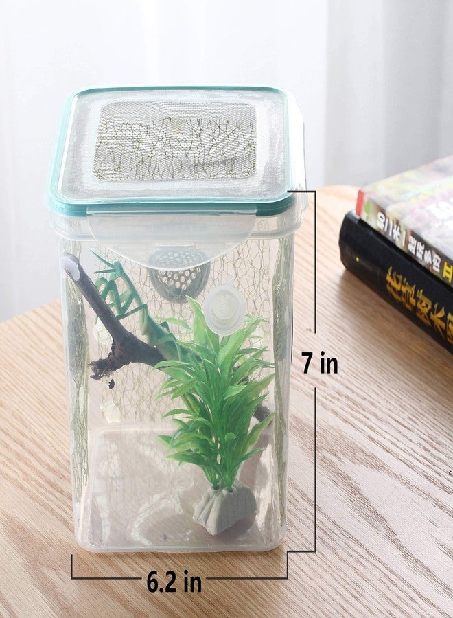 crapelles Spider Mantis Bottle Breathable Outdoor Natural Animal Exploration Tools Science Research Butterfly Frog Insect Colored Cage Habitat Bug Catcher Critter Caterpillars Cricket Snail Container - Image 4